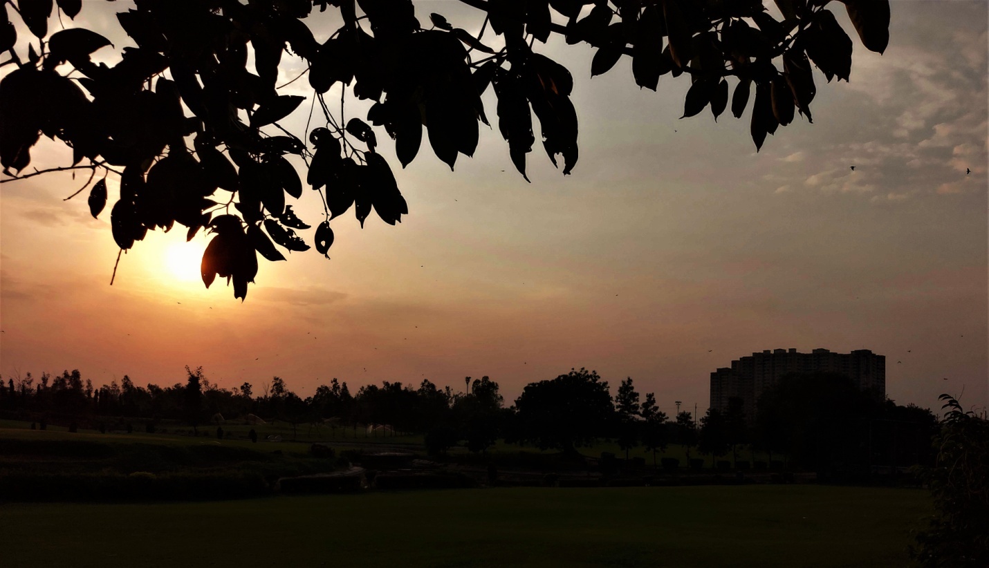 What Makes Samsung Galaxy S10 Lite The Best Smartphone For Shutterbugs