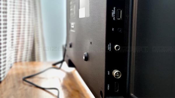 Connectivity And Sound Delivery