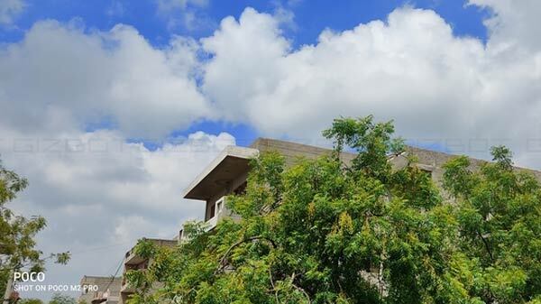 Enhance Color Vibrancy With Pro Color Mode