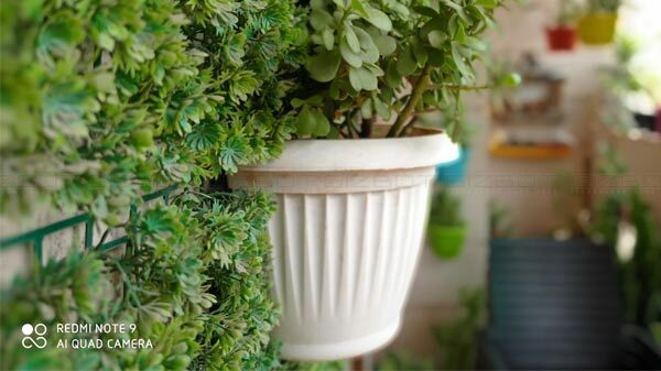 Pleasing Bokeh Effect With Some Efforts