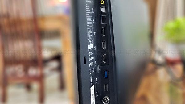 Back Panel And Connectivity