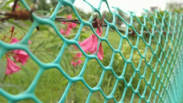 Daylight Camera Performance