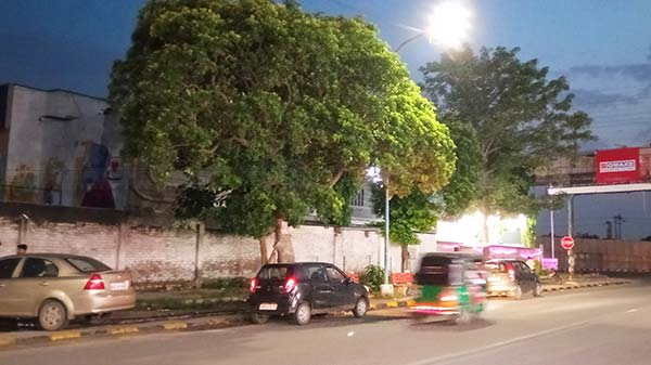 Disappointing Low-Light Results