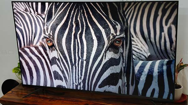 How’s Picture Quality?