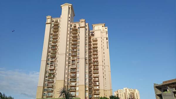 Daylight Performance