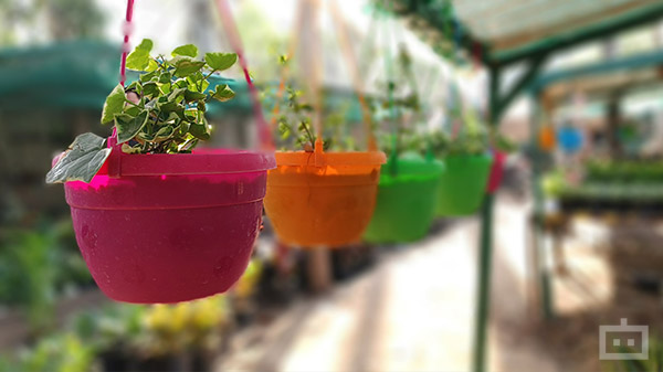 Average-Looking Portraits And Wide-Angle Shots