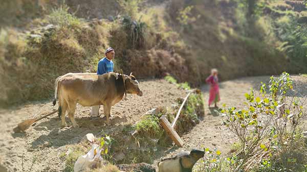 Good Color Science And Pleasing Portraits