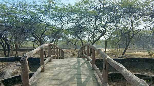 Average Wide-Angle Shots