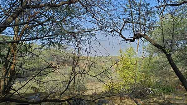 Reno5 Pro 5G Camera Setup