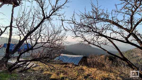 Crisp And Vivid Daylight Results