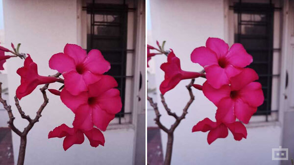 Camera Could Be Improved 