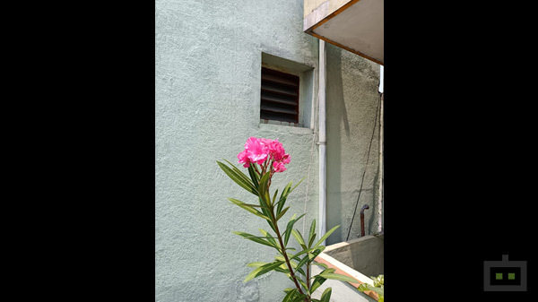 Realme 8 5G Camera: Not The Best In The Business