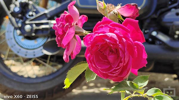 Snappy Autofocus, Fast-Shutter Speed, And Good Crisp Output