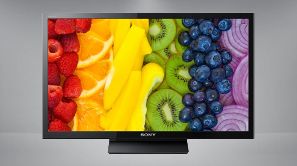 Sony Bravia KLV24P413D 24 (60 cm) HD Ready LED TV