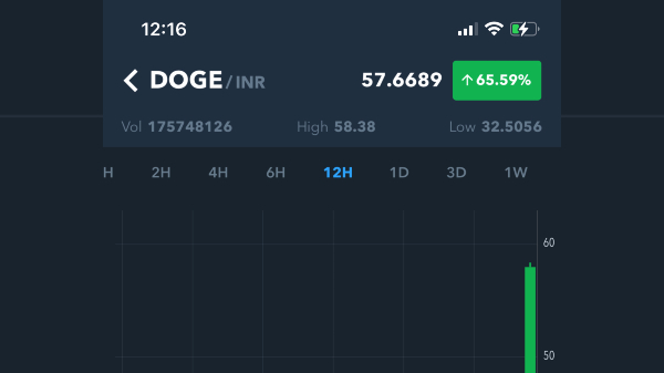 Dogecoin Price Goes Sky High; Likely To Reach $1