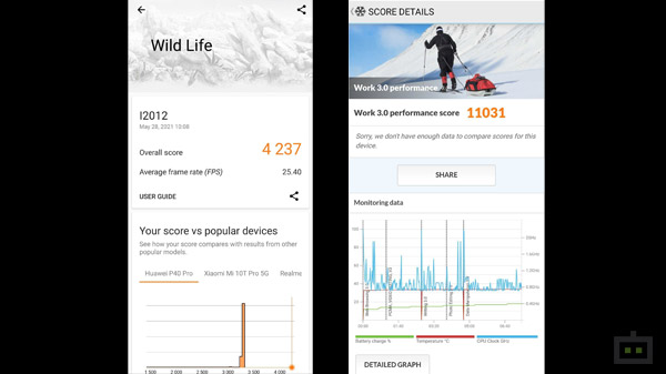 Software And Benchmark Performance