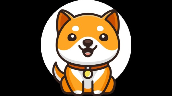 Baby Dogecoin Is Elon Musk’s Next Big Thing: Details