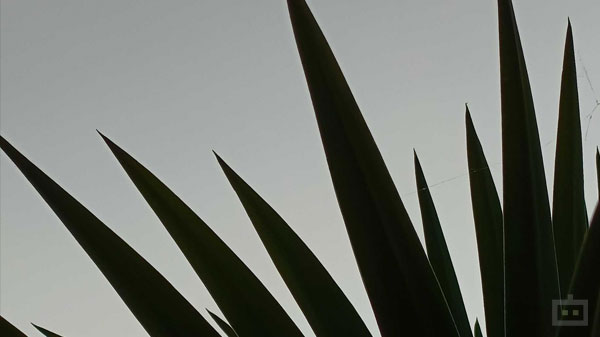 Average Wide-Angle & Low-Light Shots