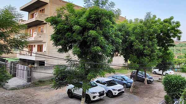 Picture Quality- Bright, Punchy Colors With Good Dynamic Range