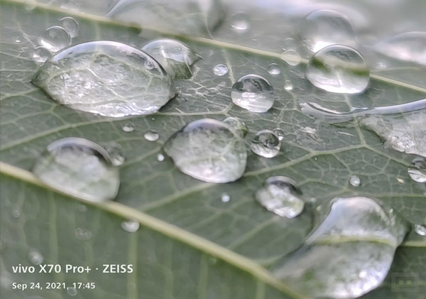 Vivo X70 Pro+ Camera User-Experience