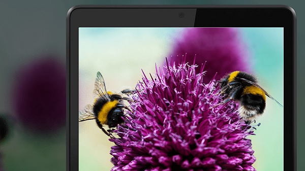 8-inch HD+ Display For Multimedia & E-Learning