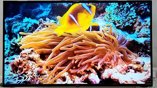 Bright & Vivid 1080P Display