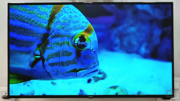 Pay Extra For The Wall-Mount