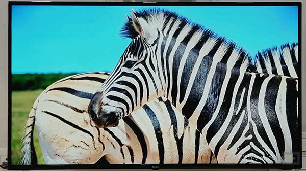 Redmi TV 43” Picture Clarity