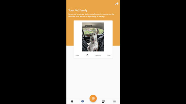 forPAWS App Setup: Quick And Easy