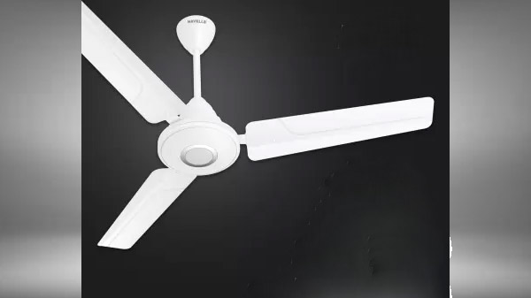 Best Fans To Buy In India On Flipkart