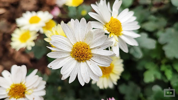 Capable Camera Setup