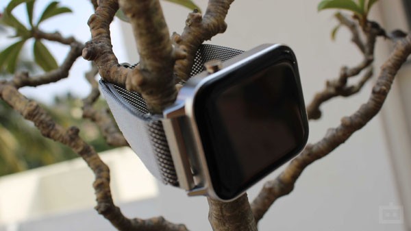 Foxin FoxFit Active Responsive Display