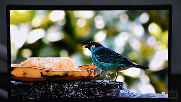 Lenovo Legion 5i Gen 6 (2021): Speakers And Web Camera