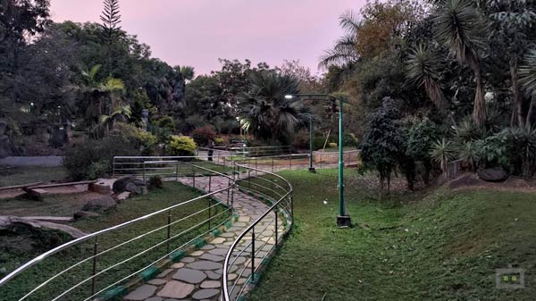 Asus ROG Phone 5s Cameras: Needs Some Work