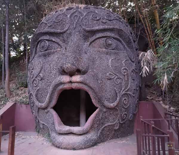 Asus ROG Phone 5s Cameras: Needs Some Work