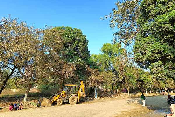 Disable AI Toggle For A Natural Look