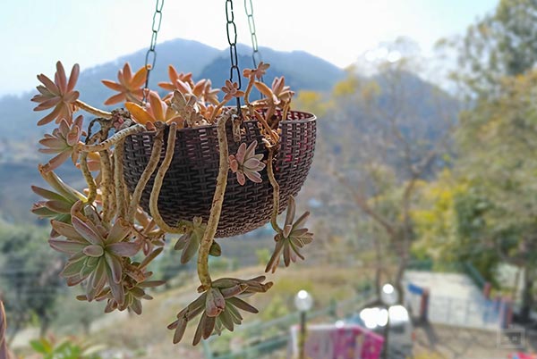 How Good Is Optical Image Stabilization?