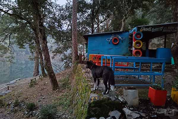 Low-Light Photography