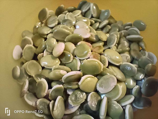 OPPO Reno7 5G First Impressions