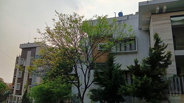 cameras pack several features