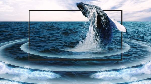 Amazon Redmi Smart TV X43 Quiz: Answers & Win Redmi Smart TV X43