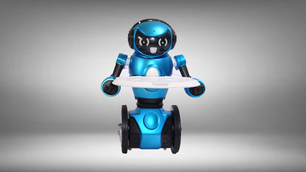 Toys Bhoomi Advanced AI Lightweight Robotic