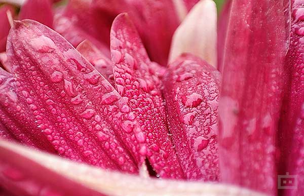 Xiaomi’s Camera Processing Spoils The Fun