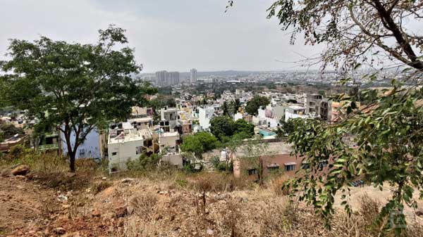  Asus 8Z Review: Cameras