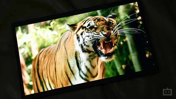 Asus VivoBook 13 slate OLED Display Review
