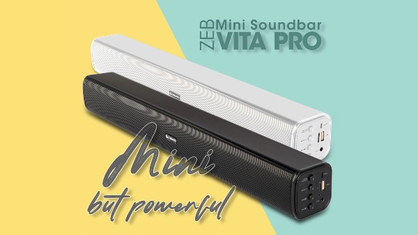 Zebronics Zeb- Vita Pro 24W Portable Bluetooth Soundbar
