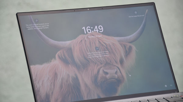 Asus Zenbook 14X OLED Space Edition Review: Display