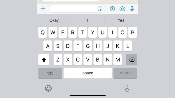 How To Use Blur Took On WhatsApp For iPhone?
