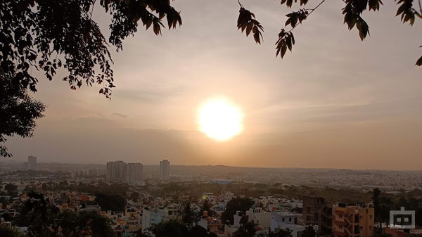 Realme Narzo 50 Pro 5G Review:  Primary Camera