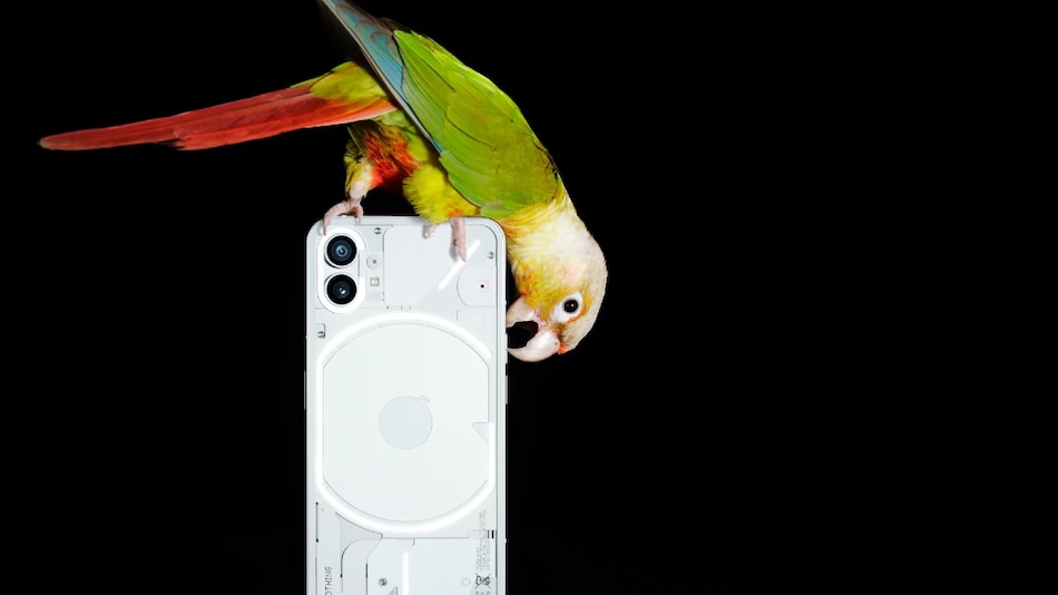 Nothing Phone (1) Launch: Watch Live Stream, Expected Specs And Price Nothing Phone (1) Launch: Watch Live Stream, Expected Specs And Price